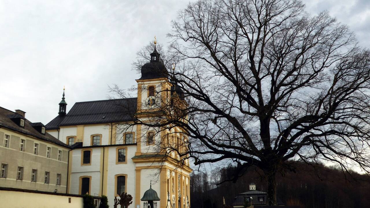 Ein stimmiges Ensemble: Die barocke Wallfahrtsbasilika und die Winterlinde auf dem Plainberg. 