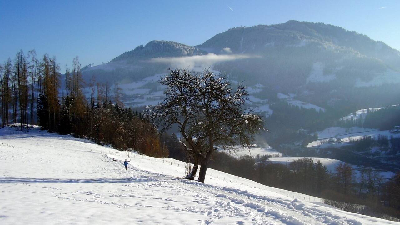 Der Sonnenspaziergang über dem Salzachtal mit Blick auf den Gernkogel.  