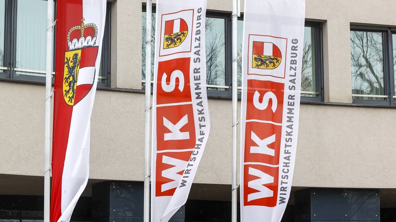 Gewählt wird heuer auch, aber nur bei zwei Interessenvertretungen.  