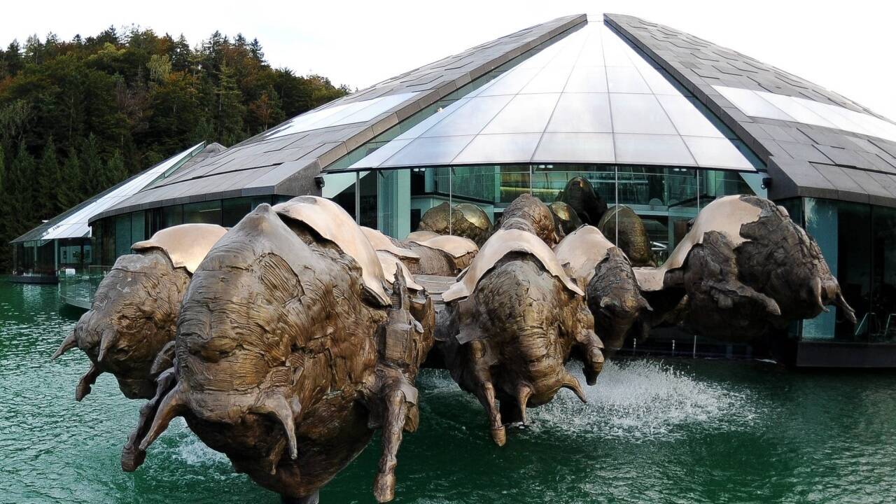 Red Bull hat in Fuschl bei Salzburg seinen Konzernsitz und ist damit in Österreich steuerpflichtig. 