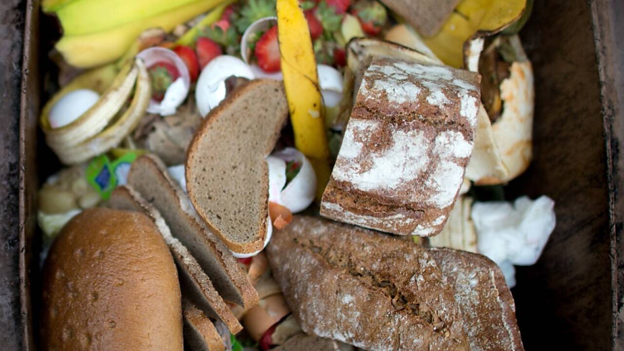 Lebensmittel liegen in einem Mistkübel 