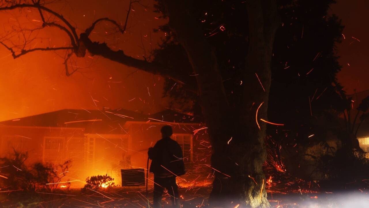 Die Feuerwehren kämpfen seit Tagen gegen die Brände.  