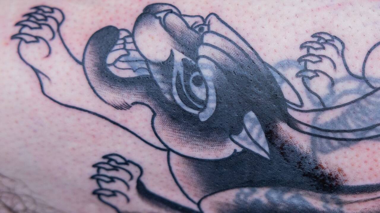 Ein Panther überdeckt jetzt Reichsadler und Hakenkreuz auf Michaels Oberschenkel. 