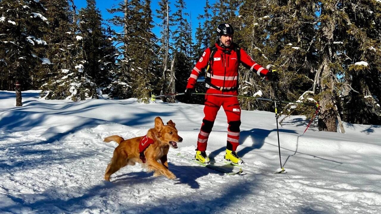 Forrest sei einer der erfahrensten Einsatzhunde in der Suchhundestaffel des Roten Kreuzes, sagt sein Herrchen Roland Seer aus Golling. Das Foto stammt von der Ausbildungs- und Trainingswoche in Filzmoos und zeigt Seer mit einer Lawinensonde in der rechten Hand. Forrest sei einer der erfahrensten Einsatzhunde in der Suchhundestaffel des Roten Kreuzes, sagt sein Herrchen Roland Seer aus Golling. Das Foto stammt von der Ausbildungs- und Trainingswoche in Filzmoos und zeigt Seer mit einer Lawinensonde in der rechten Hand.
