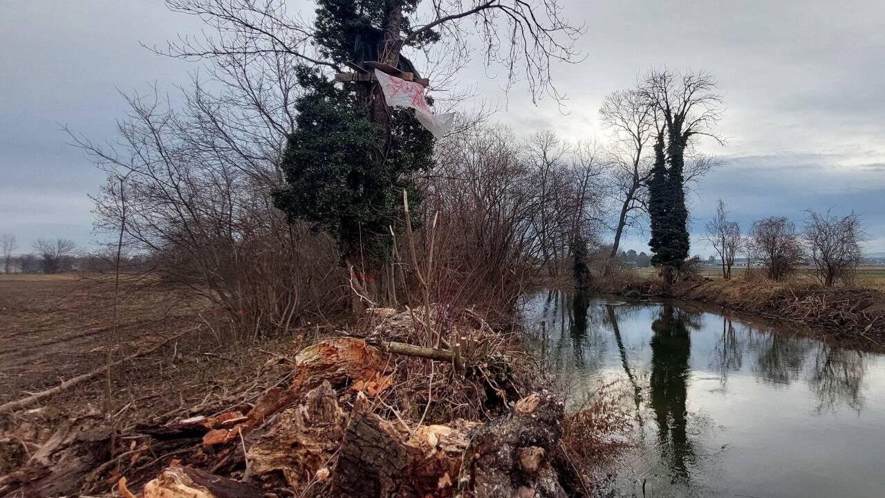 Rodungen für die Straßentrasse.  Rodungen für die Straßentrasse.