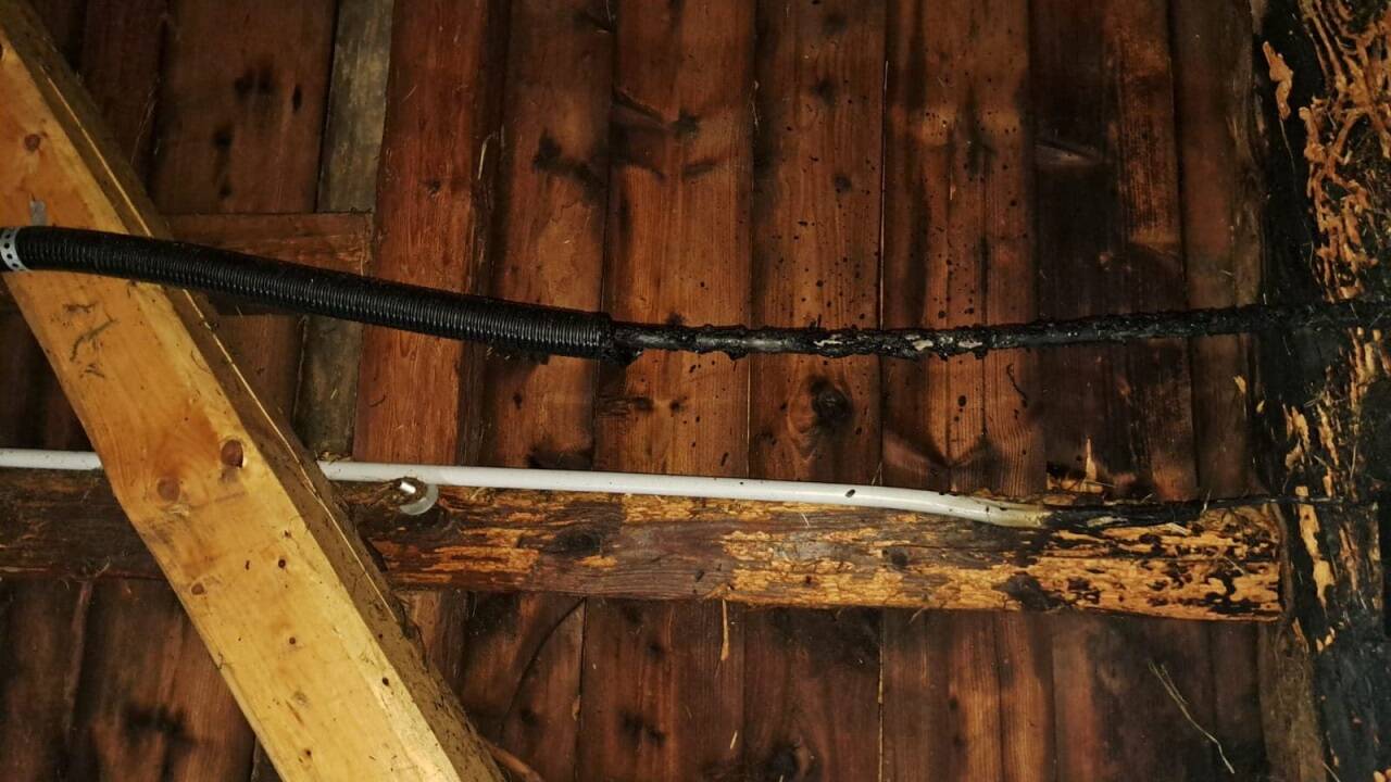 Bilder vom Einsatz in Nußdorf. 