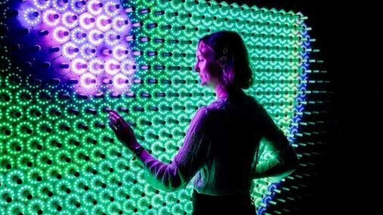 Schau führt auch in den immersiven 'Quantum Jungle' 