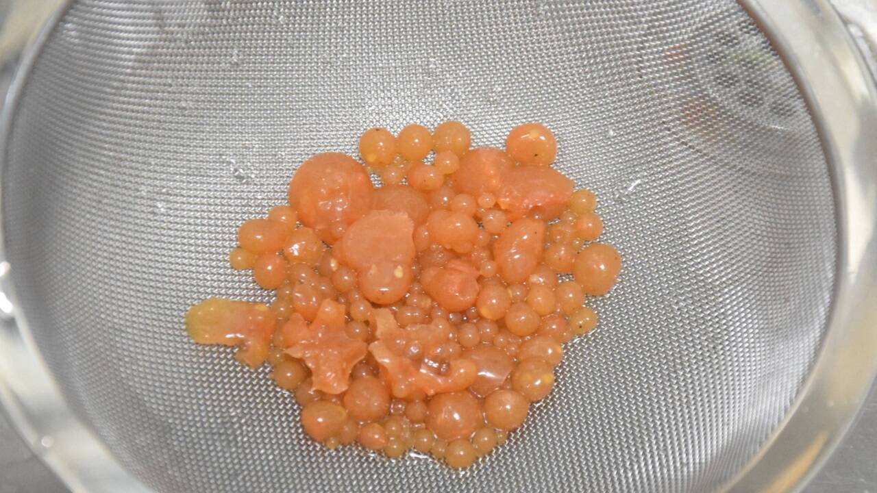 So sehen Tomaten aus...  So sehen Tomaten aus...