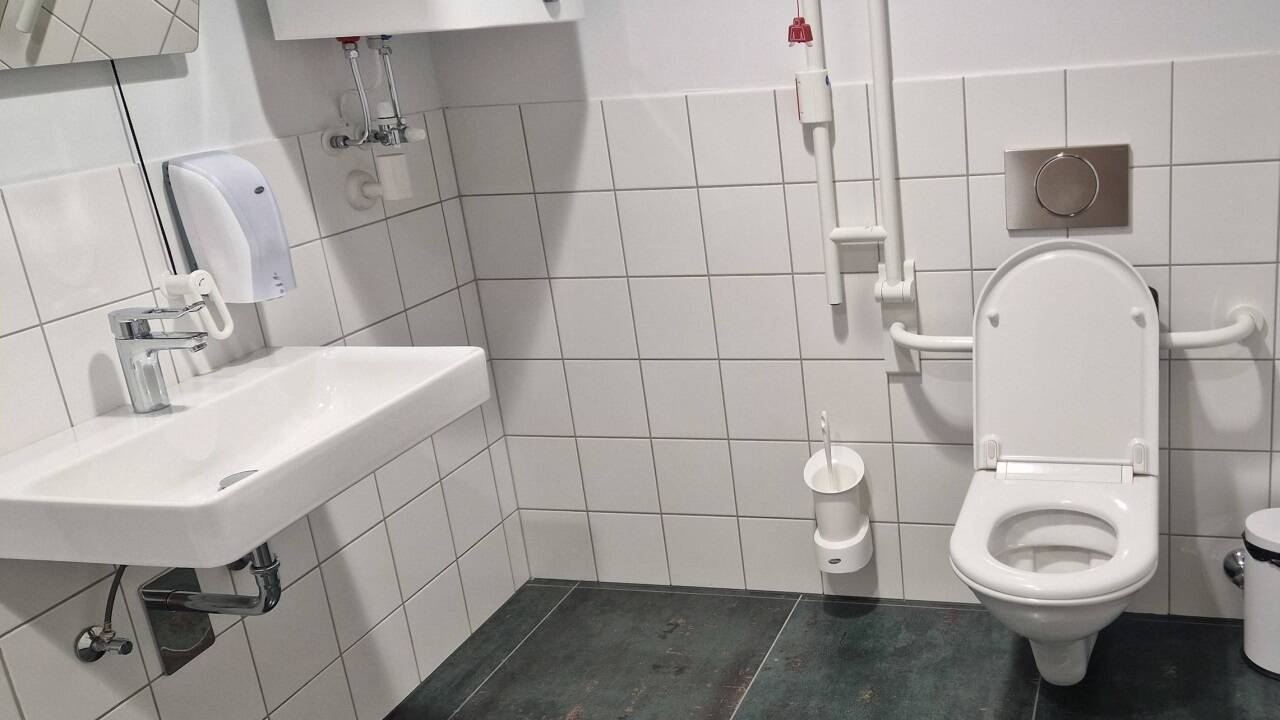 Ein barrierefreies WC mit Haltegriffen und klappbarem Spiegel. Ein barrierefreies WC mit Haltegriffen und klappbarem Spiegel.