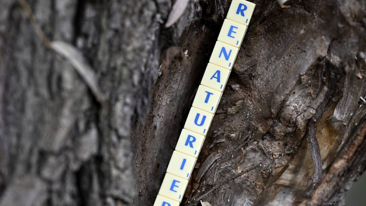 Rund um die 'Renaturierung' tobt weiter ein heftiger Polit-Streit 