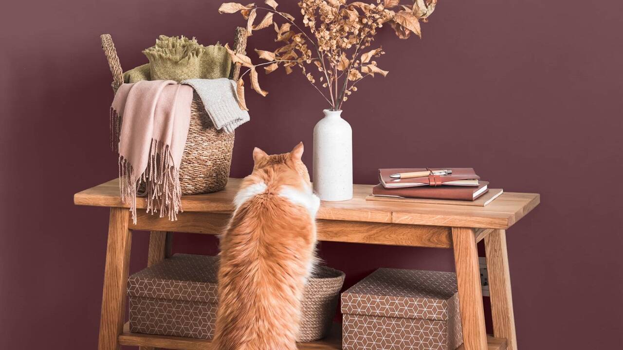 Typisch für Lehmfarbe ist die seidenweiche, matte Oberfläche. 