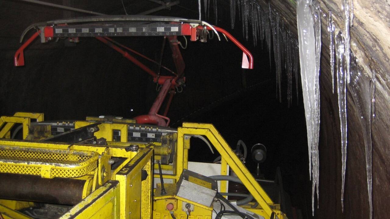 ... jeden Frühling. ... jeden Frühling.