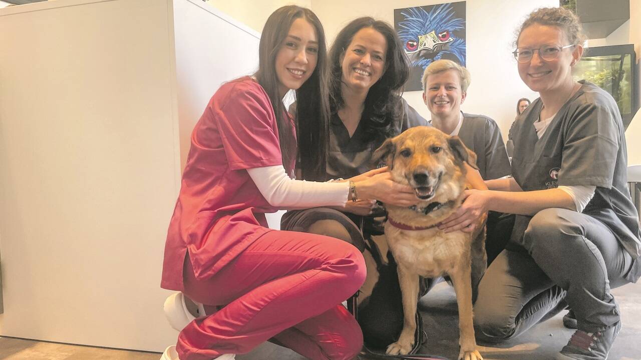 Zur Routineuntersuchung mit Krallenschneiden war Lana in der Tierklinik bei Alexandra Hofmann (2. v. li.) und ihrem Team.  Bilder: Grabler  