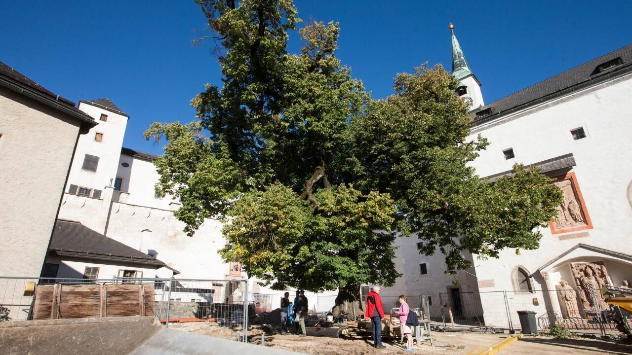 Grabungsstelle im Burghof auf der Festung.  