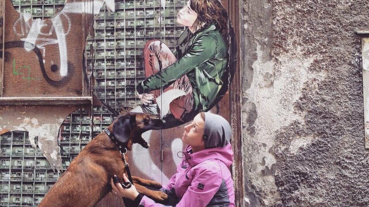 Mensch und Hund: Lernen, als Streicheleinheit getarnt Mensch und Hund: Lernen, als Streicheleinheit getarnt