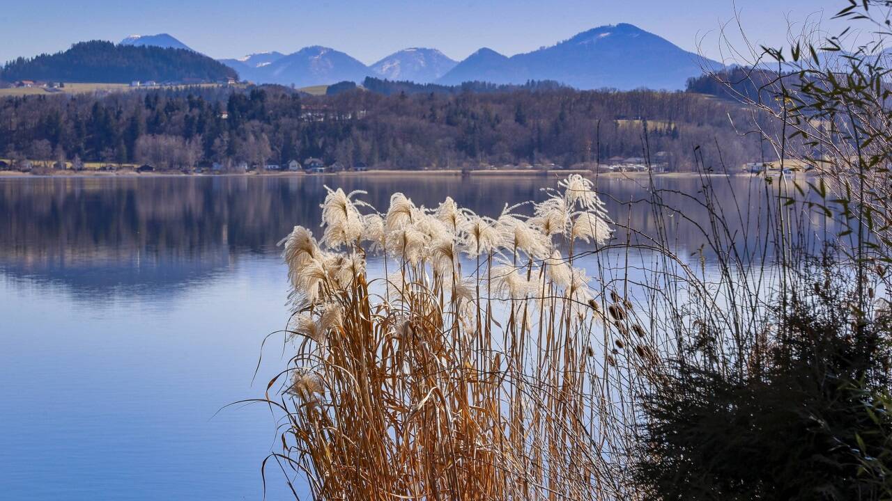 Idylle am Rupertiweg in Seekirchen am Wallersee. So ruhig ist es freilich nur außerhalb der Saison. 