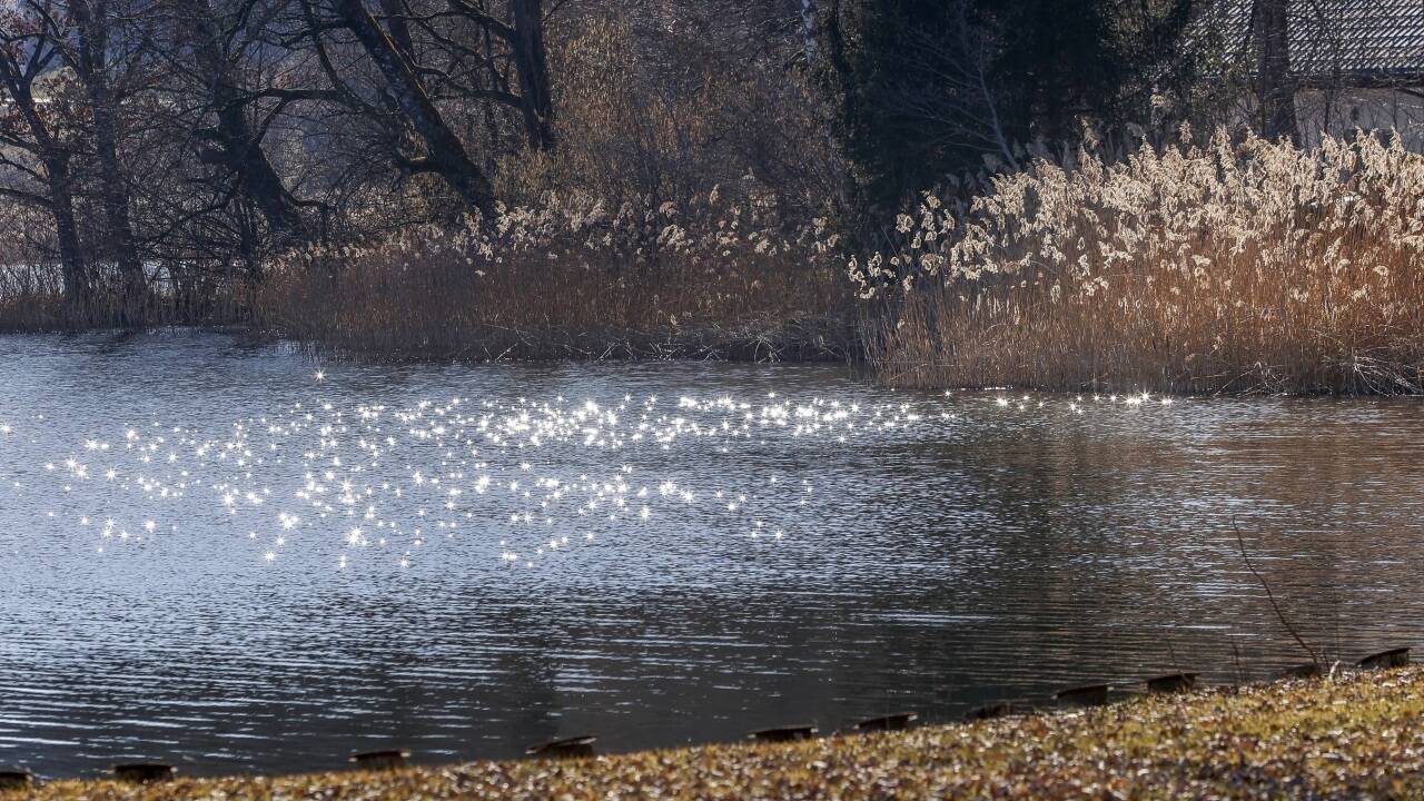 Der Badeplatz für Salzburger Magistratsbedienstete im Seehamer Ortsteil Matzing 