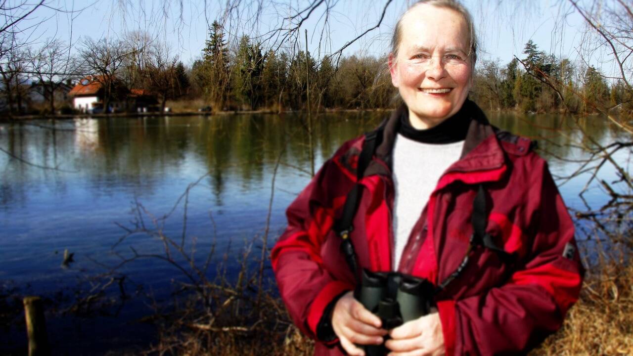 Die Ornithologin Christine Medicus will die Leopoldskroner Graugänse schützen.  