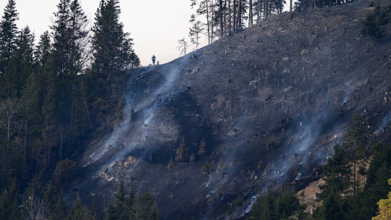 Löschhubschrauber unterstützten die Feuerwehrleute 