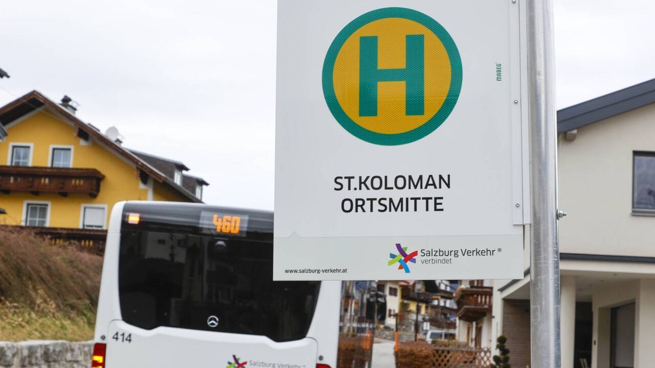 Die Buslinie 460 ist zuletzt verdichtet worden. Aber für die Feinverteilung fehlt ein Angebot.  