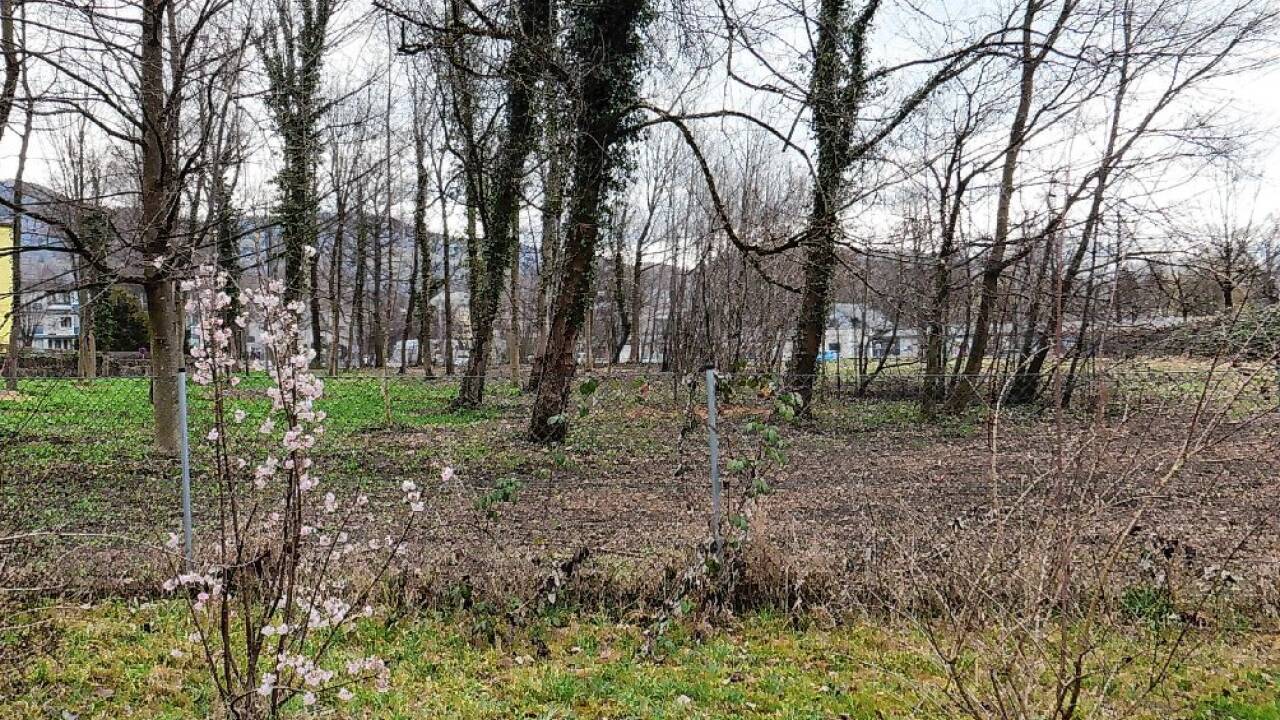 Das vom neuen Besitzer frisch gepflegte Waldstück (hinter dem Zaun).  