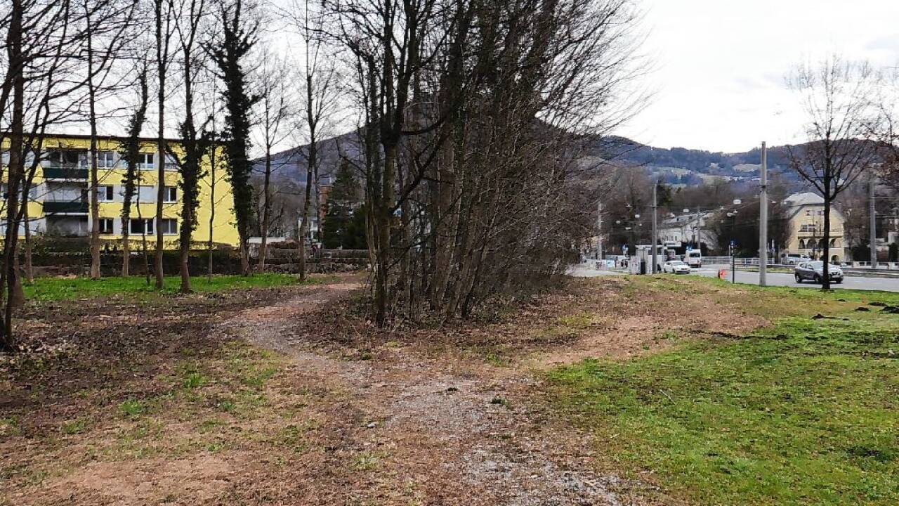 Ein Weg führt durch das Wäldchen an der Bürglsteinstraße.  