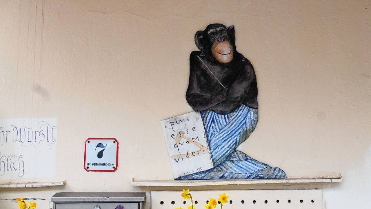 Der Gute-Laune-Bringer auf der Salzburger Lokalfassade.  