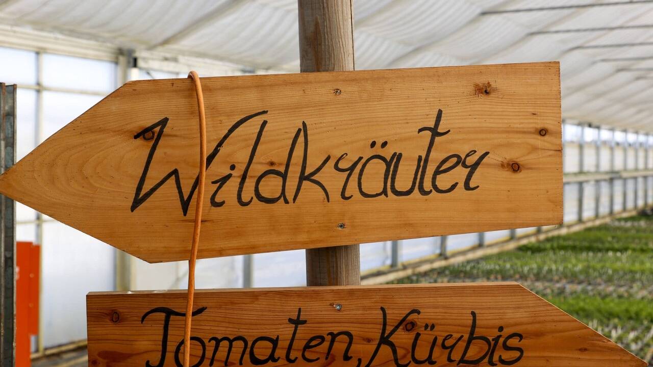 Johann Winklhofer hat den Familienbetrieb in Wals-Siezenheim 2006 auf Bio umgestellt. 