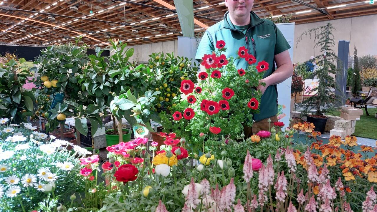 Juniorchef Andreas Lindner aus der Gärtnerei Lindner in Wals-Siezenheim ist in Halle 6 zu finden.  
