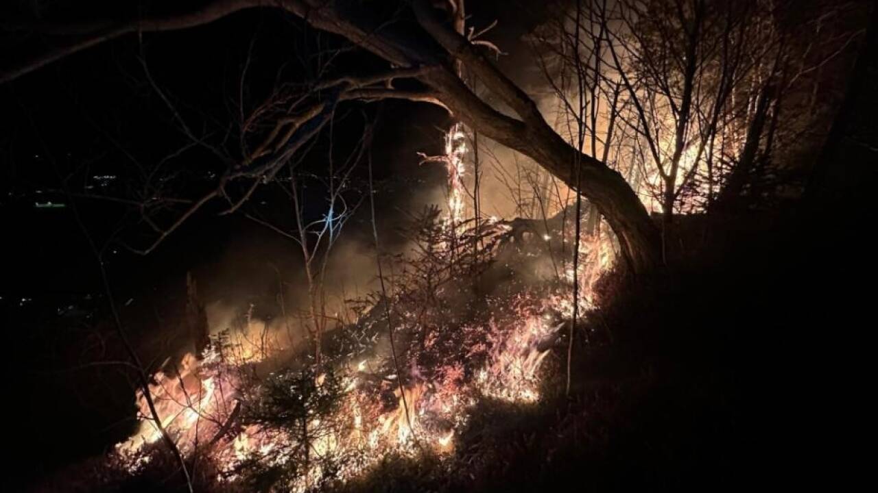 Eine Grillstelle löste den Waldbrand aus 