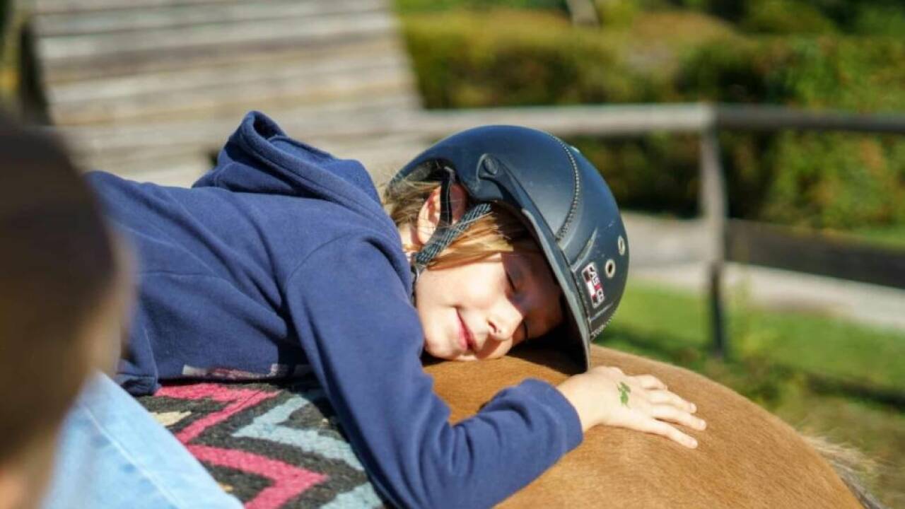 Intensive Beziehung zwischen Mensch und Tier reduziert den Stress 