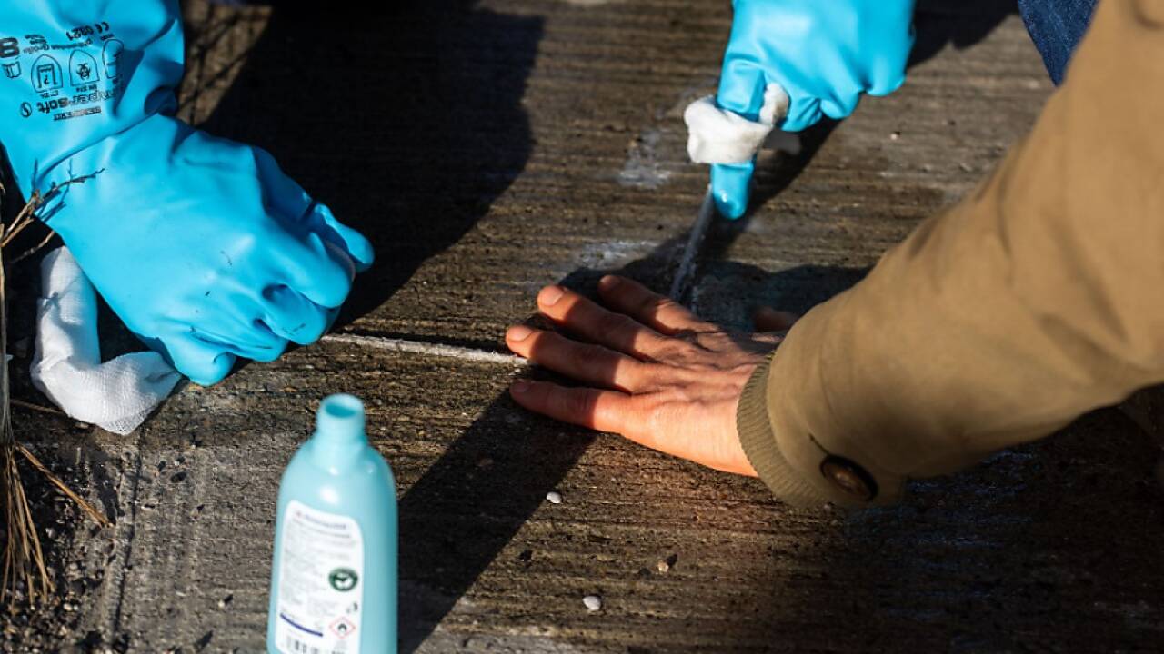Lange sorgten Aktivisten mit Protestaktionen für Schlagzeilen 