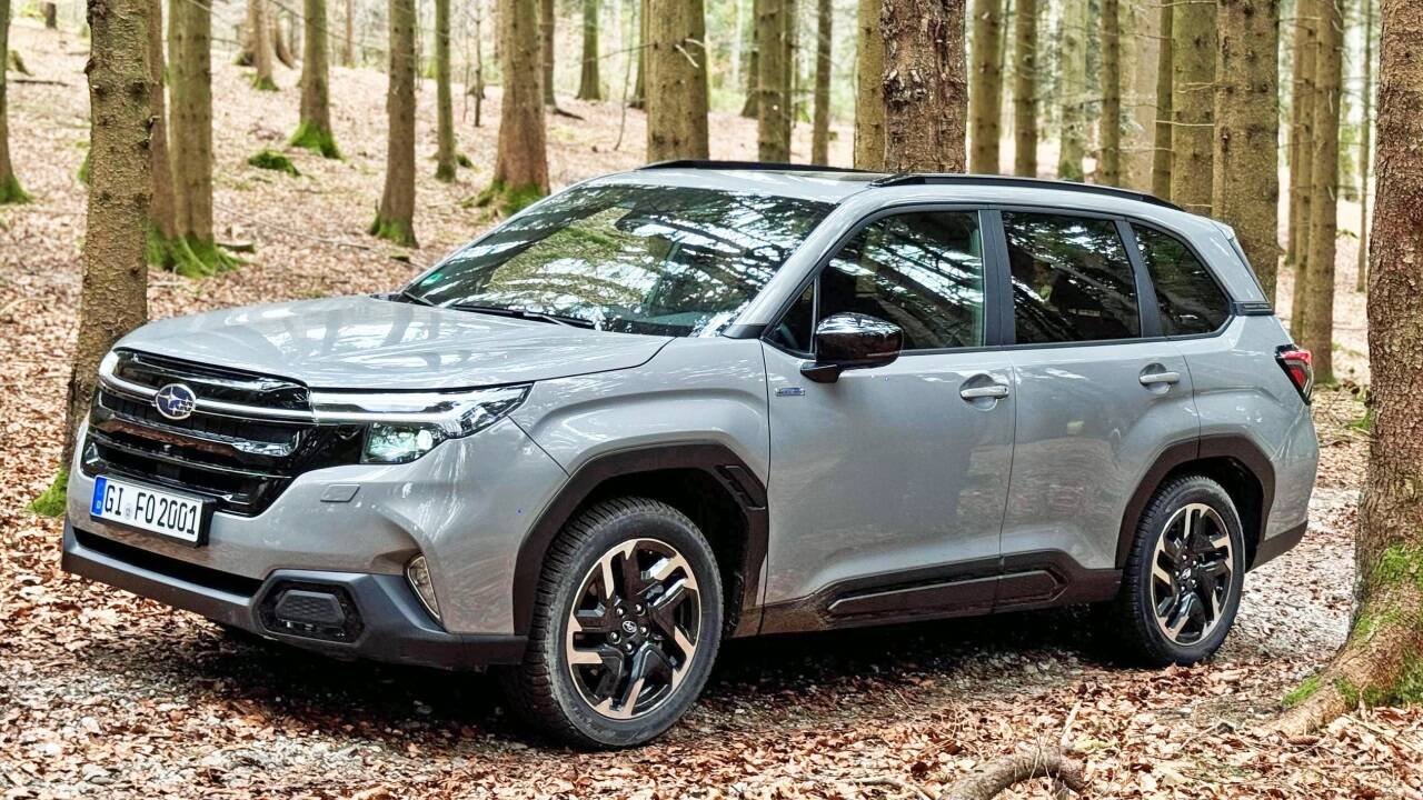 Der Forester ganz in seinem Element. 