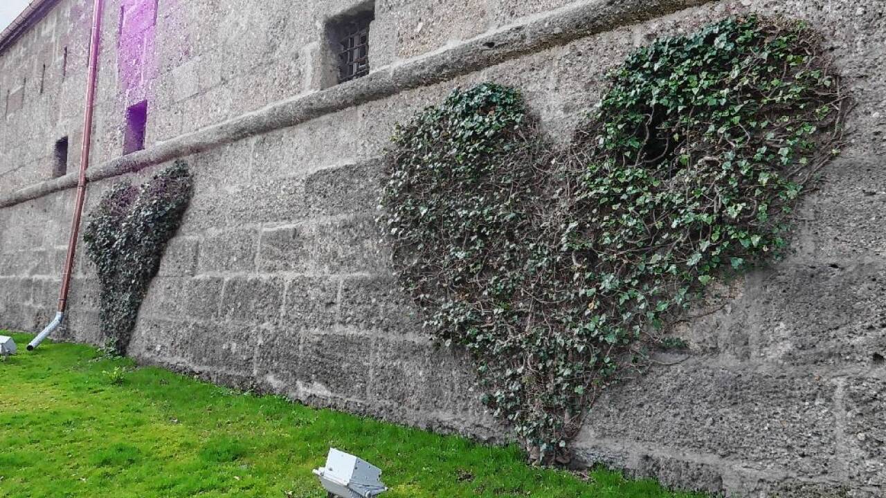 Blick auf die zwei Herzen.  