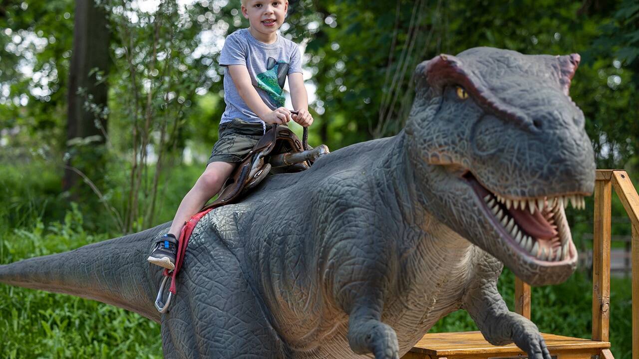 T-Rex, Triceratops und Co. haben sich in den letzten zwei Jahren zu Besucherlieblingen entwickelt und spannende Neuzugänge bringen 2024 frischen Wind in den Erlebnispark. 