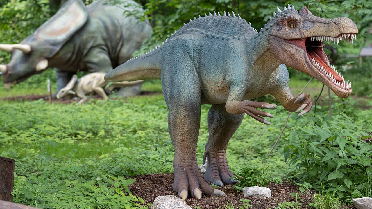T-Rex, Triceratops und Co. haben sich in den letzten zwei Jahren zu Besucherlieblingen entwickelt und spannende Neuzugänge bringen 2024 frischen Wind in den Erlebnispark. 