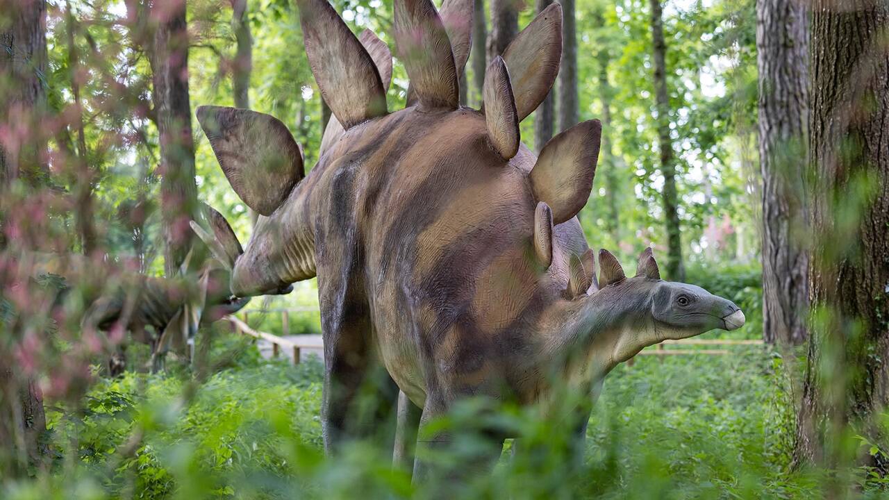 T-Rex, Triceratops und Co. haben sich in den letzten zwei Jahren zu Besucherlieblingen entwickelt und spannende Neuzugänge bringen 2024 frischen Wind in den Erlebnispark. 