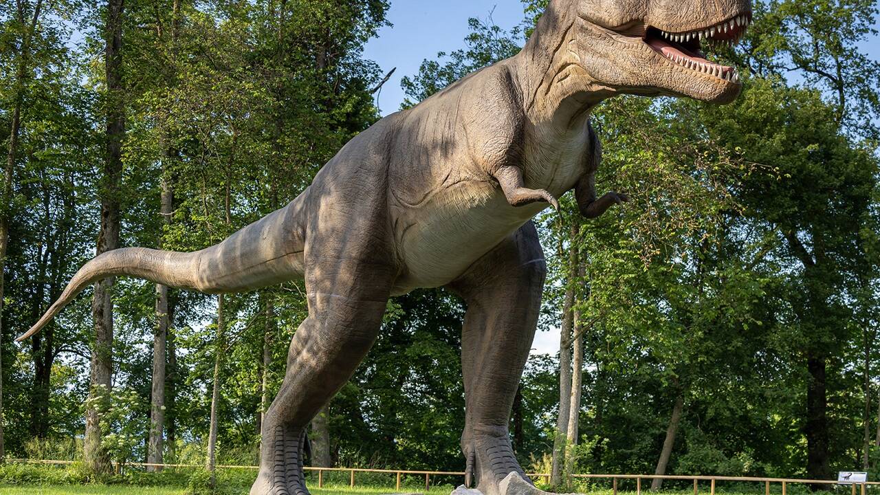 T-Rex, Triceratops und Co. haben sich in den letzten zwei Jahren zu Besucherlieblingen entwickelt und spannende Neuzugänge bringen 2024 frischen Wind in den Erlebnispark. 
