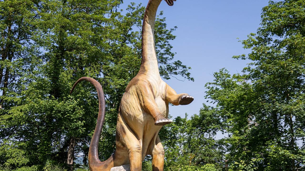 T-Rex, Triceratops und Co. haben sich in den letzten zwei Jahren zu Besucherlieblingen entwickelt und spannende Neuzugänge bringen 2024 frischen Wind in den Erlebnispark. 