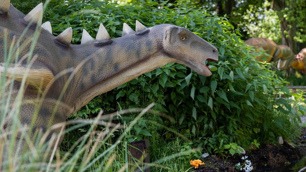 T-Rex, Triceratops und Co. haben sich in den letzten zwei Jahren zu Besucherlieblingen entwickelt und spannende Neuzugänge bringen 2024 frischen Wind in den Erlebnispark. 