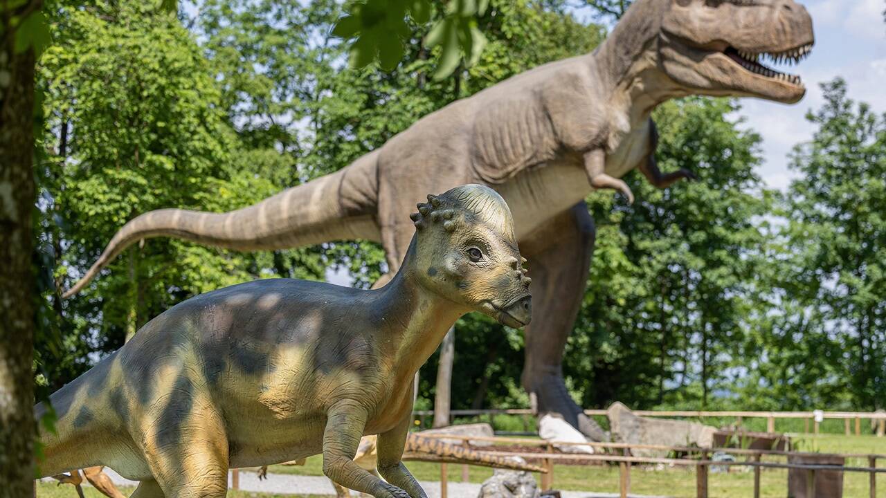 T-Rex, Triceratops und Co. haben sich in den letzten zwei Jahren zu Besucherlieblingen entwickelt und spannende Neuzugänge bringen 2024 frischen Wind in den Erlebnispark. 