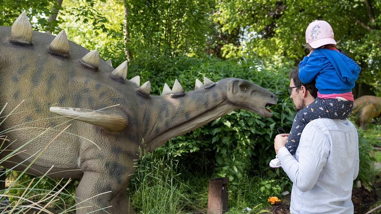 T-Rex, Triceratops und Co. haben sich in den letzten zwei Jahren zu Besucherlieblingen entwickelt und spannende Neuzugänge bringen 2024 frischen Wind in den Erlebnispark. 