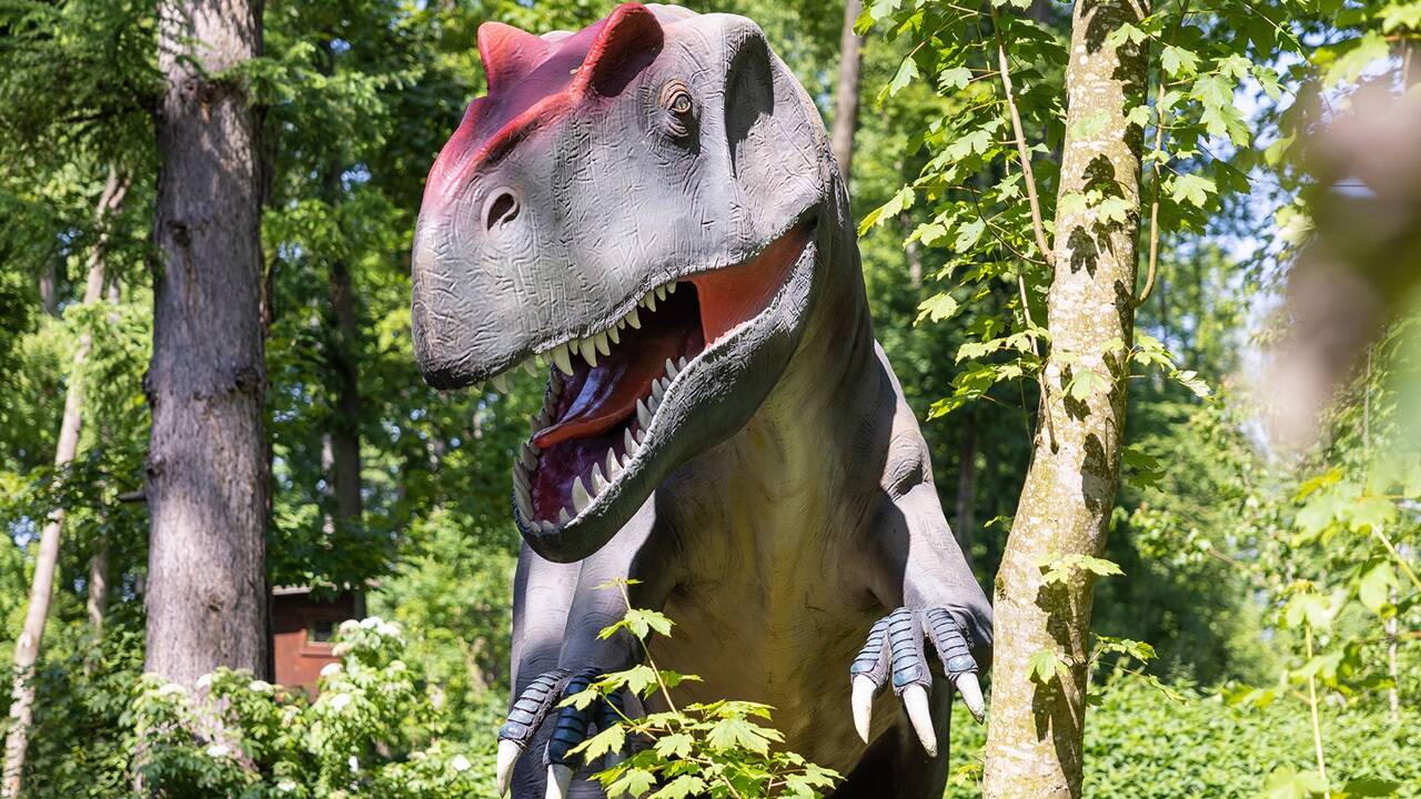 T-Rex, Triceratops und Co. haben sich in den letzten zwei Jahren zu Besucherlieblingen entwickelt und spannende Neuzugänge bringen 2024 frischen Wind in den Erlebnispark. 