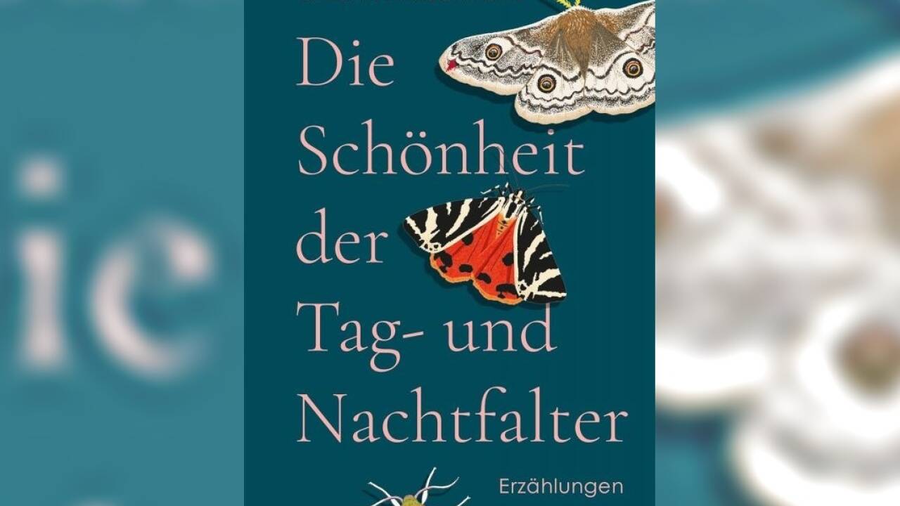 Buch: Barbara Frischmuth: „Die Schönheit der Tag- und Nachtfalter. Erzählungen“, geb., 127 S. Residenz, Salzburg 2025.  Buch: Barbara Frischmuth: „Die Schönheit der Tag- und Nachtfalter. Erzählungen“, geb., 127 S. Residenz, Salzburg 2025.