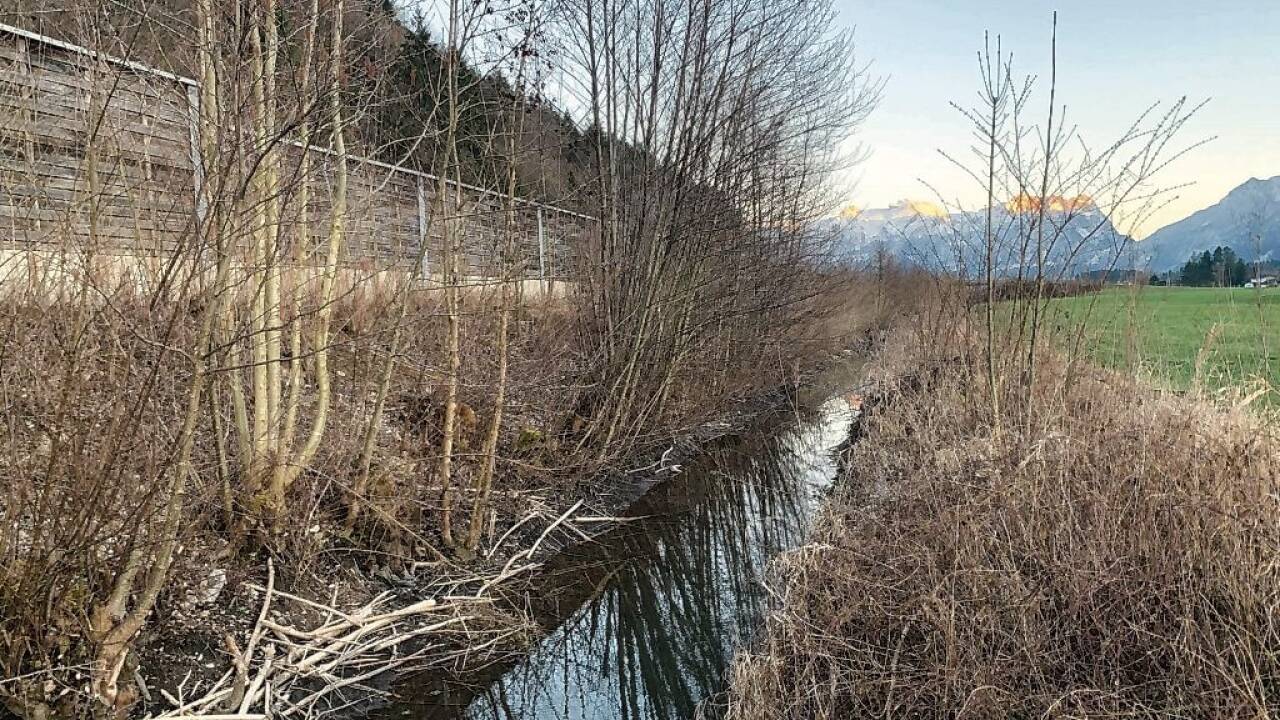 Vor der Übersiedelung hat die Biberfamilie in diesem Kleingewässer neben der A10 ihre Dämme errichtet.  Vor der Übersiedelung hat die Biberfamilie in diesem Kleingewässer neben der A10 ihre Dämme errichtet.