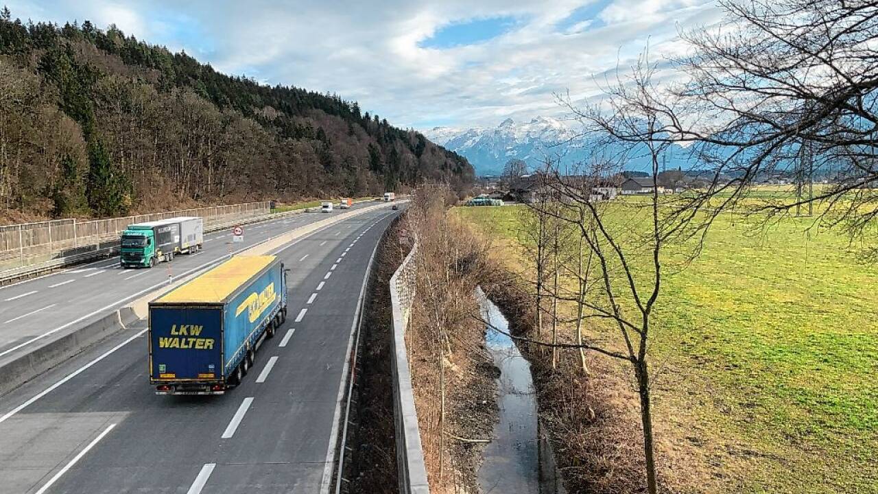 In einem Tiertransporter wurden die Biber nach Portugal gefahren.  In einem Tiertransporter wurden die Biber nach Portugal gefahren.