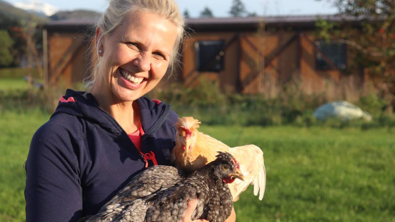 Die Hühner von Biobäuerin Nicole Leitner aus Anif sind fleißig am Legen. Gerade vor Ostern ist die Nachfrage nach Eiern groß.  
