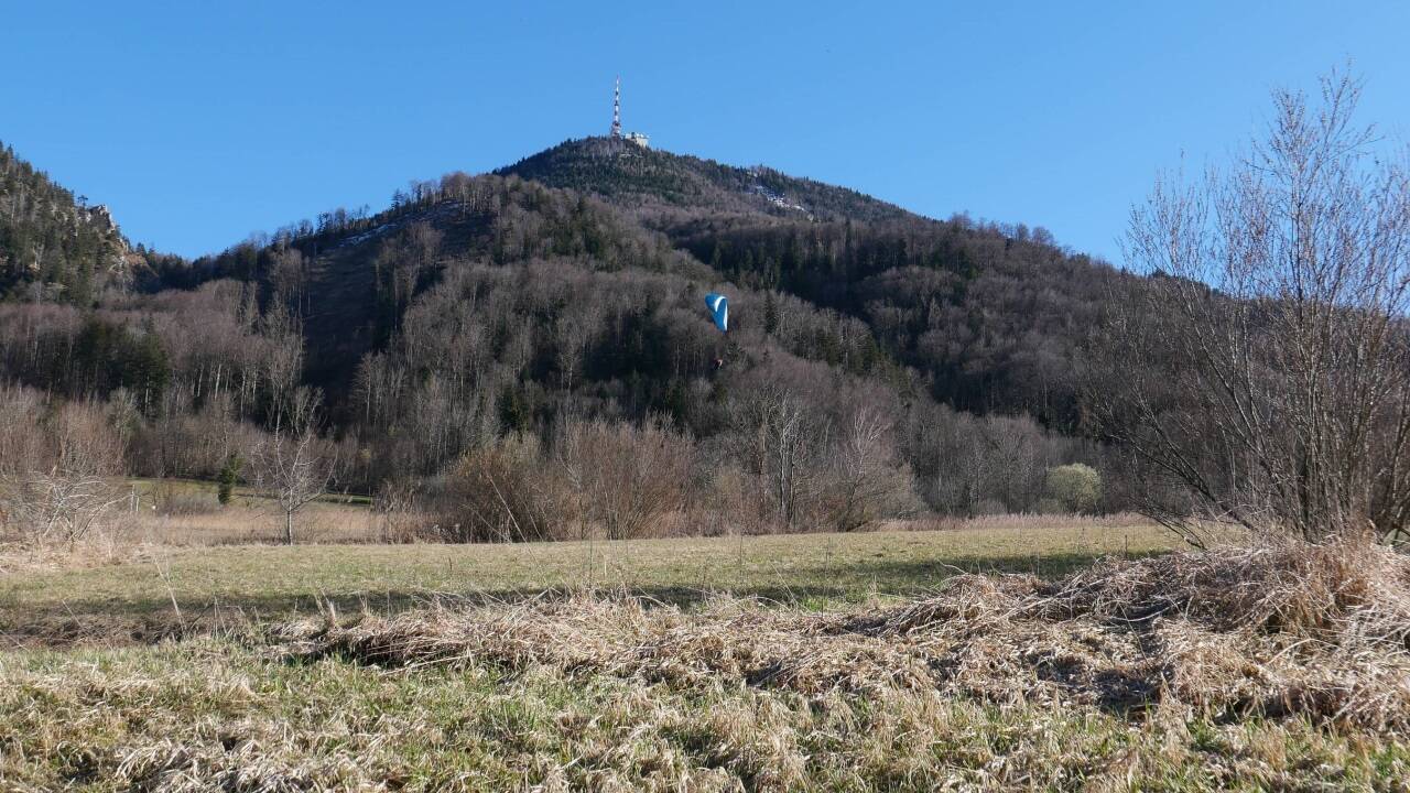 Blick auf den Salzburger Gaisberg, ein Paragleiter ist gerade im Landeanflug.  