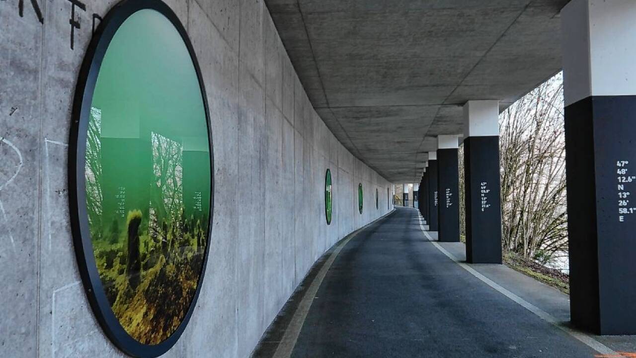 Ein- und Ausblicke beim Land-Art-Projekt Mondseeland beim Kienbergwandtunnel. 