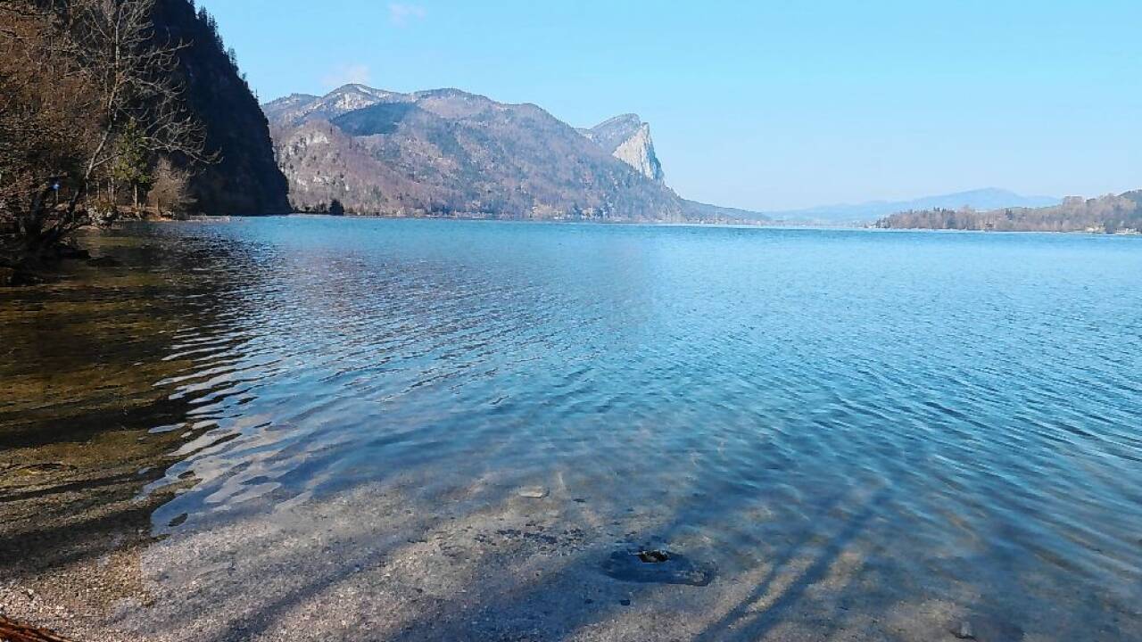 Morgenstimmung am Mondsee.  